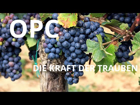 OPC - die Kraft der Trauben
