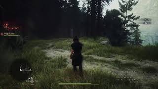 ドラゴンズドグマ2　プレイ