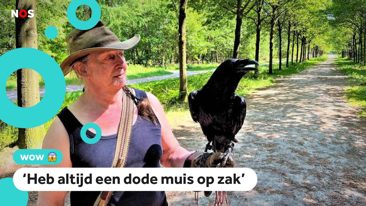 Peter wandelt elke dag met zijn raaf