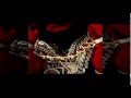 Rick Ross - Burn ( Hood Billionaire ) 
