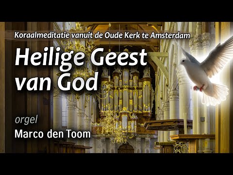 Heilige Geest van God | Amsterdam, Oude Kerk | MARCO DEN TOOM