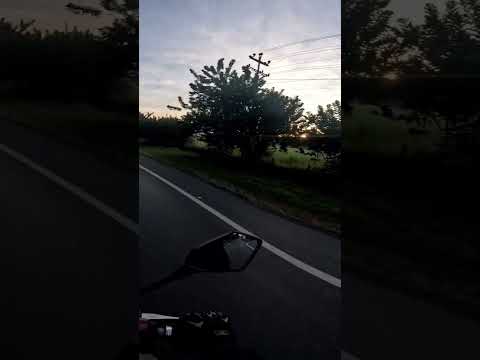 VAMOS A LA PAILA ZARZAL VALLE DEL CAUCA