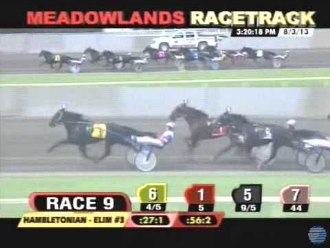 Spider Blue Chip - 2013 Hambletonian Elimination 3