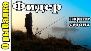 Ссылка