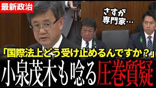 【圧巻質疑】海洋専門家 山田吉彦が追及　ホルムズ海峡の航行の自由とは【国民民主党】