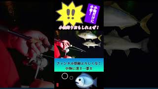 初心者向けアジング伝授！小物釣りは釣りの基本！明日から海釣りデビューだ！