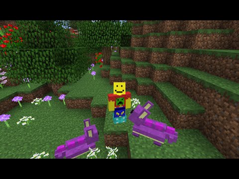Jim Plays obsExplore Minecraft E02 - Draggy and Draggy go to Haven