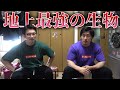 地上最強の生物は誰なのか話してみました!