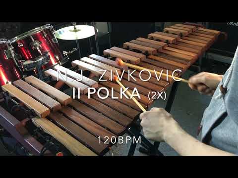 N.J. Zivkovic - II POLKA Xylophone from Easy Pieces For Xylophone