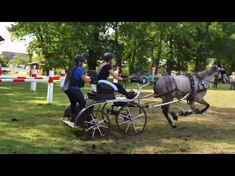 Fahrturnier Ostenfelde 21.8.2022