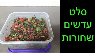 סלט עדשים שחורות עם עשבי תיבול וירקות - בריא ומשביע