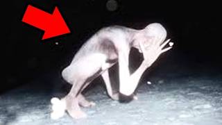5 Video Interessanti che DEVI Assolutamente VEDERE 
