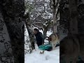 Epic Fail Broken Bone