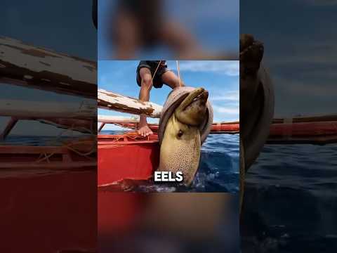 Tiny Kid vs. Massive Sea Monster #fo #fishingtips #fish #facts