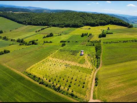 Afacere la cheie, dar si refugiu intr -o oaza de liniste in peisaj pitoresc: 25.624 mp compacte/Moisa, Mures — Video