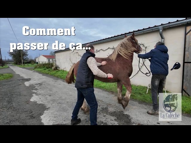 Enfin une formation accessible avec votre CPF !