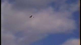 preview picture of video 'FLYING RC PLANES IN TORREVIEJA XMAS 96'