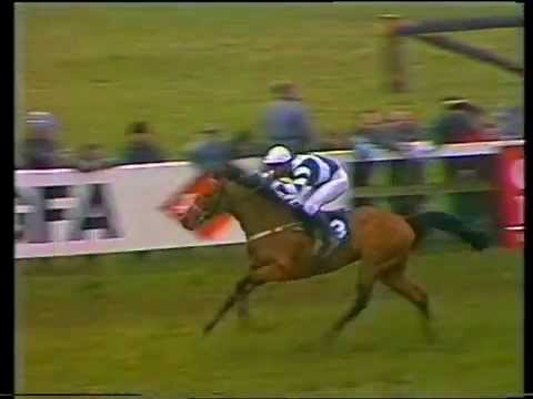1989 Guinness Trophy Champion 4-y-o E.B.F. Hurdle