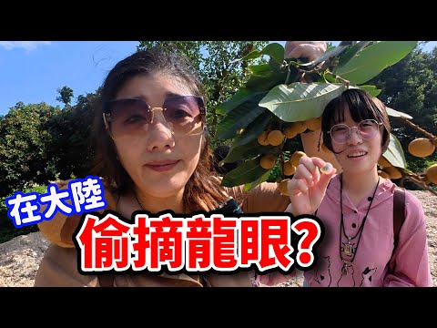 廈門旅遊EP1. 在地人帶玩隱藏版海上活動！第一天就這麼刺激的嗎？還有CP值超高腳底按摩☆哪哪麻☆