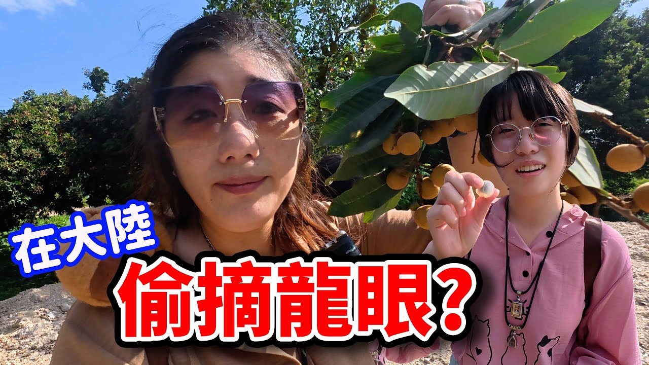 廈門旅遊EP1. 在地人帶玩隱藏版海上活動！第一天就這麼刺激的嗎？還有CP值超高腳底按摩☆哪哪麻☆