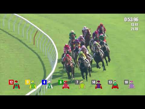 25/9/2022 (41) Star Contact - Matthew Chadwick