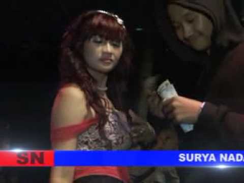 SURYA NADA 2015 TERONG DICABEIN