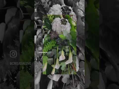 Zantedeschia bianca #flowers #flowerarrangement #angeli per sempre 🤍🪽