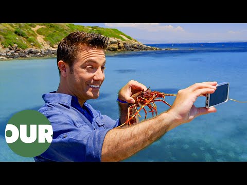 Gino fängt und kocht sardische Meeresfrüchte | Ginos italienischer Kurzurlaub E15 | Unser Geschmack