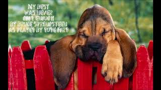 My best was never good enough by Bruce Springsteen as played by Dude Ford