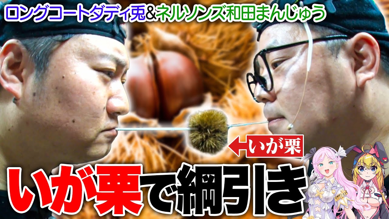 ロングコートダディ兎の顔面にいが栗が直撃！リアクションが嘘臭くて痛さが伝わらない【VTuber】【東野幸治 ノブコブ吉村】【リアクション芸】