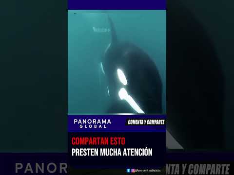 LA NATURALEZA ES SABIA