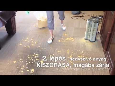 Giardiasis (giardiázis): kutyára, emberre egyaránt fertőző betegség