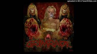 Labyrinth of Madness