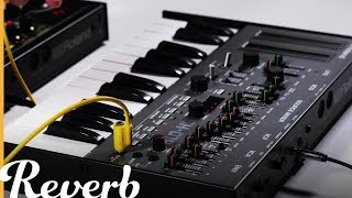 Roland SH-01A Bass Line Synthesizer | Reverb Demo Video