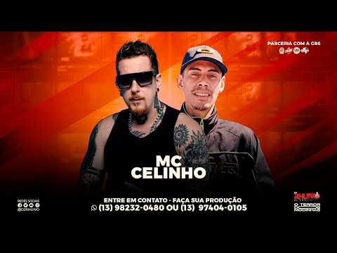 MC Celinho - Irmão Mais Velho (Prod. DJ Rhuivo)