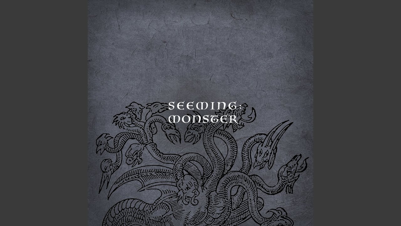Seeming - I Recognize You
