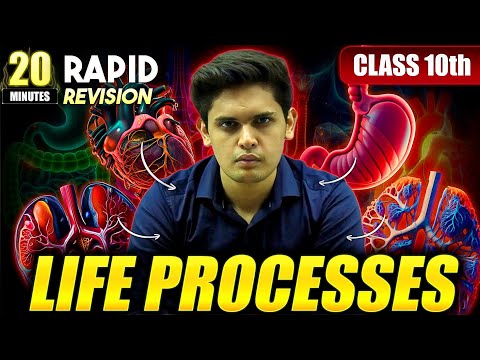 Life Processes in 20 Minutes🔥| Class 10th | Rapid Revision | Prashant Kirad