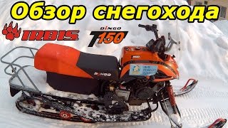 Снегоход для рыбалки динго 150 характеристики