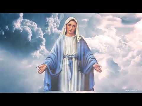 Majestosa Mãe video
