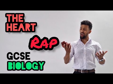 Science Raps: GCSE Biology - Heart Structure