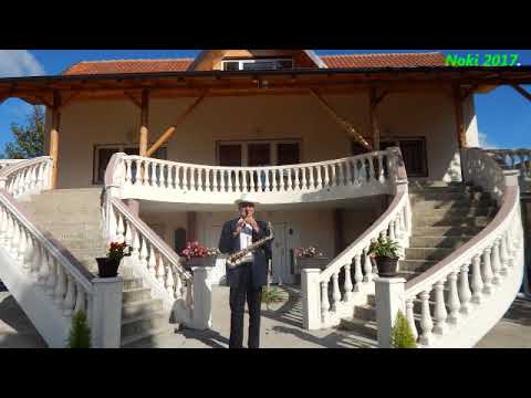 Nije za gledanje samo za slušanje - Petar Ljeparevič HIT FRULA 2017.NOVO