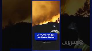 إخلاء فنادق ومواقع سياحية إثر اندلاع حريق غابات في محافظة موغلا التركية thumbnail