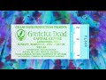 Grateful Dead Rubin Cherise 3 17 91 Capital Centre
