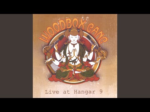 Snake in the Grass - The Woodbox Gang