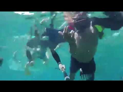 お客様の声 動画 4