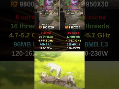 Ryzen 9800X3D vs 9950X3D – Best Gaming CPU of 2025?