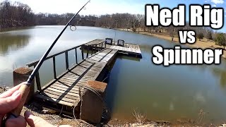 INLINE SPINNER vs NED RIG - Early Spring Bass Fishing Lure Testing