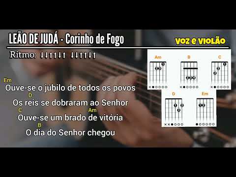O Leão - Daniel Souza
