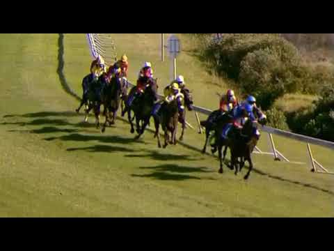 RAINBOW BRIDGE - 2021 Cape Town Met