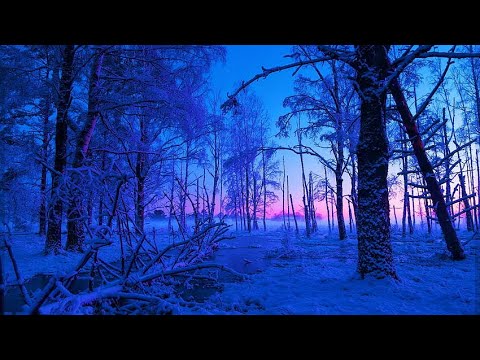 Hugo Alfvén -  Symphony No.1